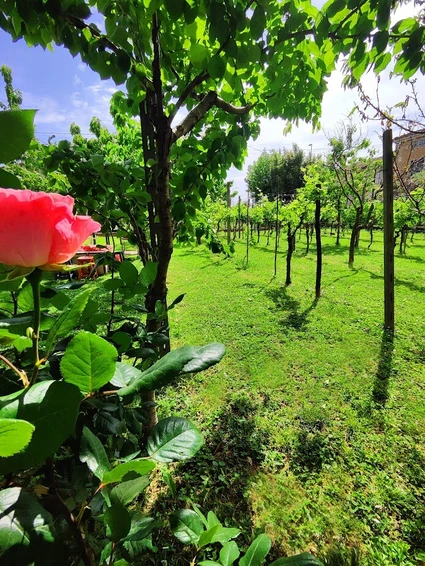 Brunch in campagna nel Casale dell'800 2